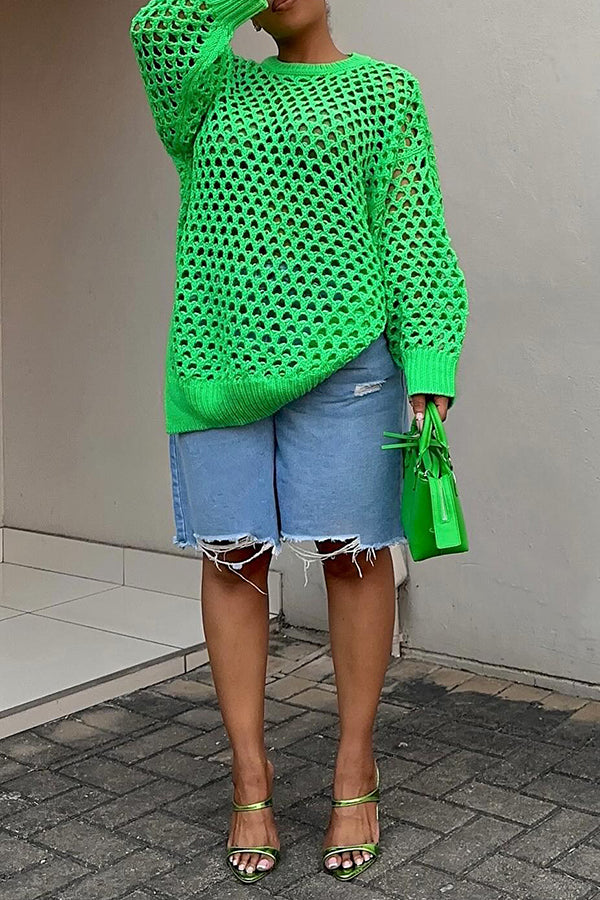 Casual Hollow Out Knit Top