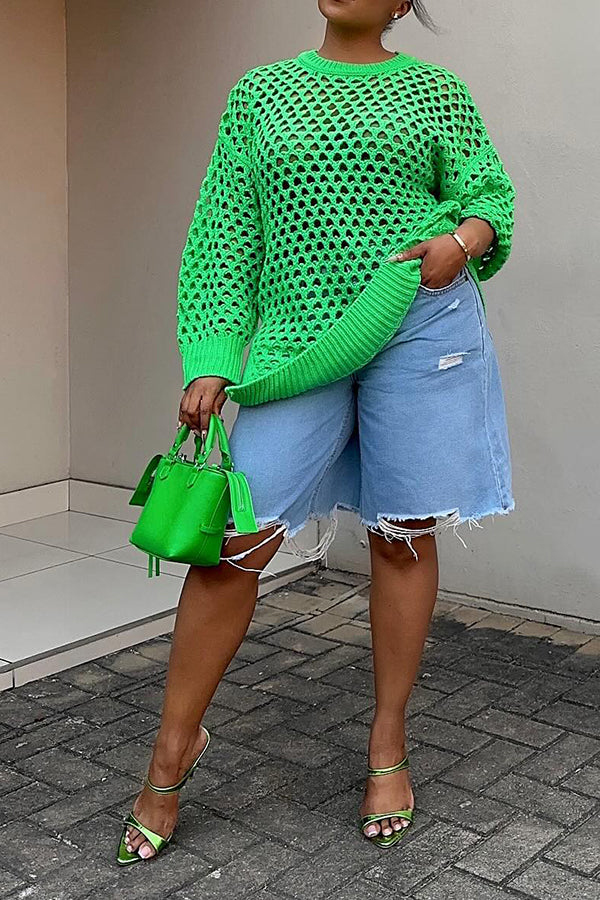 Casual Hollow Out Knit Top