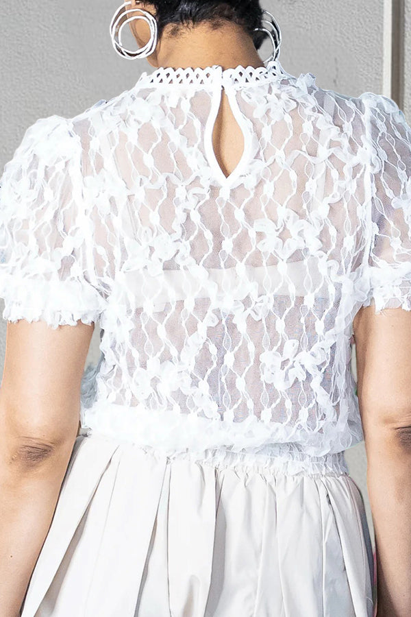 Chic Puff Sleeve Embroidered Mesh Top